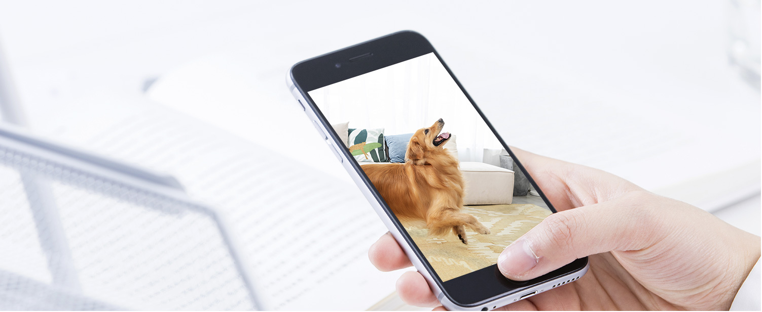 實(shí)時(shí)監(jiān)控 實(shí)時(shí)監(jiān)控