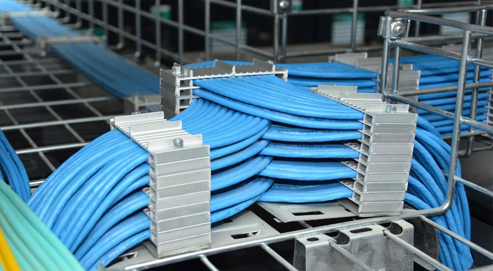 規范求實 規范求實